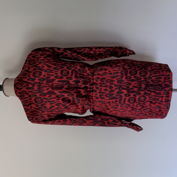 Zara Dress - Picture 4 of 11